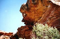 Beehive on the rock