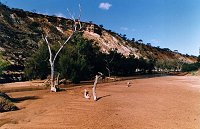 Coalseam Reserve