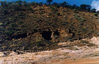 Coalseam Reserve