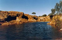 Water pool 10 km north of Mullewa
