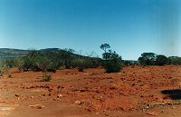 That's what I call "rocky soil" (Mount Singleton on the horizon)