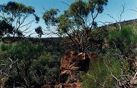 Near the top