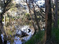 Moore River