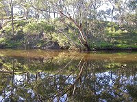 Moore River