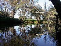 Moore River