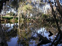 Moore River