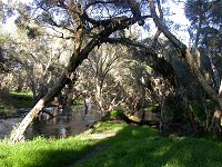 Moore River