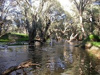 Moore River