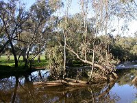Moore River