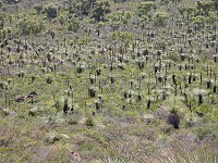View from Yandin lookout (5 km south of Ampol Roadhouse)