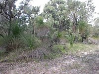 Along the Mimegarra Road