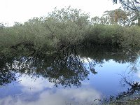 Along the Mimegarra Road