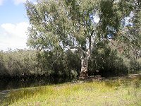 Along the Mimegarra Road