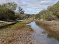 Bush track ("Salt Lake Road") - 2 km from the highway