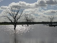 Sun reflections on the Lake