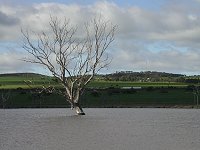View from west shore