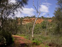 Ellendale Pool - disused track
