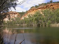 Ellendale Pool