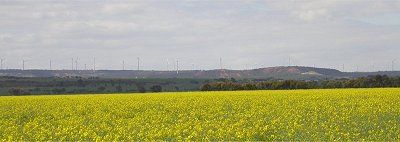 panorama (you will need to drag the image across the screen)
