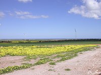 view towards Indian Ocean