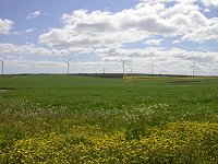 Wind farm