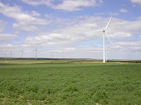 Wind farm