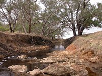 along the brook...