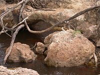 natural limestone bridge