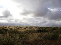 wind farm on the way to Pinnacles
