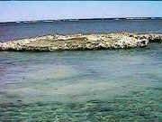 Small isle formed by the reef