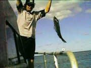 The biggest one was the one that got away