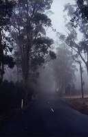 Mt.Lofty Road