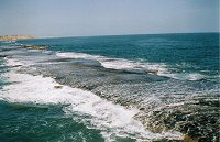 Noarlunga reef