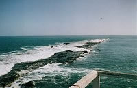 Noarlunga reef