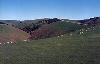 Road to Yankalilla Bay