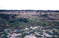 Between Roxby Downs and Olympic Dam