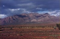 Wilpena Pound from the West