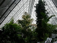 inside the Bicentennial conservatory