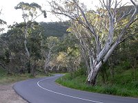 Hills road