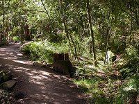 Silverband falls track