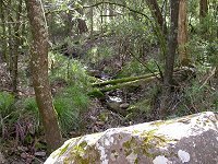 Silverband falls track