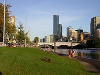 Yarra River Rowing Clubs
