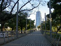 walk from Birrarung Marr Park to the city