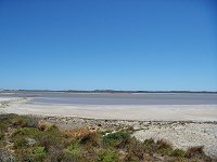 Coorong