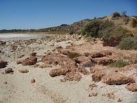 Coorong
