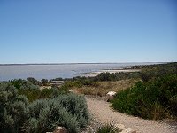 Coorong