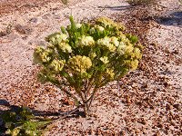 Please click to enlarge