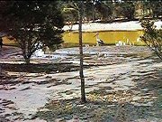 Pelican on Lake Logue