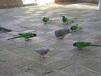 Feeding time
