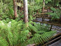 The staircase to the cave entrance
